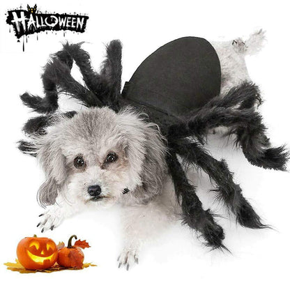 Dog Cat Spider Costume for Halloween Party Decoration, Halloween Cosplay Costumes for Small Dogs and Cat, Puppy Dress Up Accessories