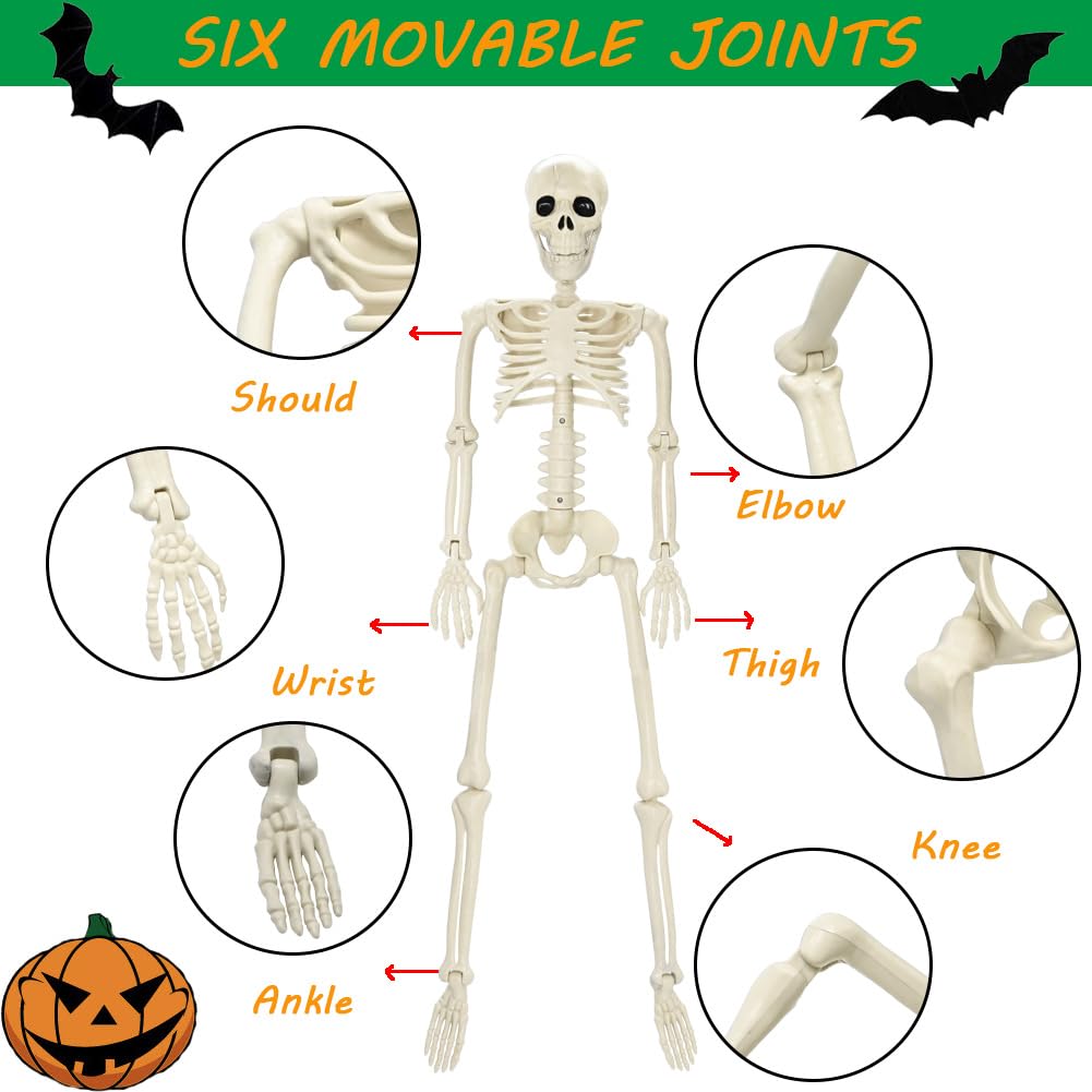 3FT Skeleton Halloween Decorations, Full Body Posable Halloween Skeleton with Movable Joints, 36" Plastic Skeleton with 1PCS Black Crow for Indoor Outdoor Haunted House Prop Decor