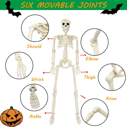 3FT Skeleton Halloween Decorations, Full Body Posable Halloween Skeleton with Movable Joints, 36" Plastic Skeleton with 1PCS Black Crow for Indoor Outdoor Haunted House Prop Decor