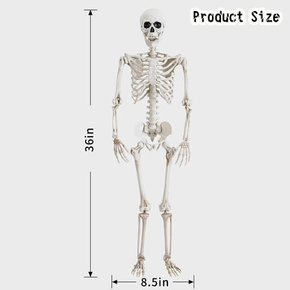 Abakuku 36" Halloween Skeleton Decorations,Human Bones for Halloween Party with Movable Joints,for Haunted Houses, Front Lawn, Graveyard Props
