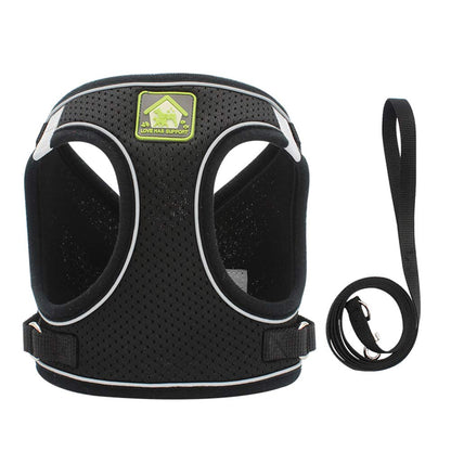 FEimaX Dog Harness and Leash Set, No Pull Breathable Soft Mesh Puppy Vest Harness Reflective Adjustable Pet Harnesses for Small Medium Dogs and Cats - Outdoor Easy Control for Walking
