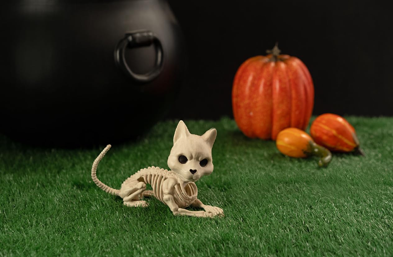 Crazy Bonez Cute Skeleton Cat