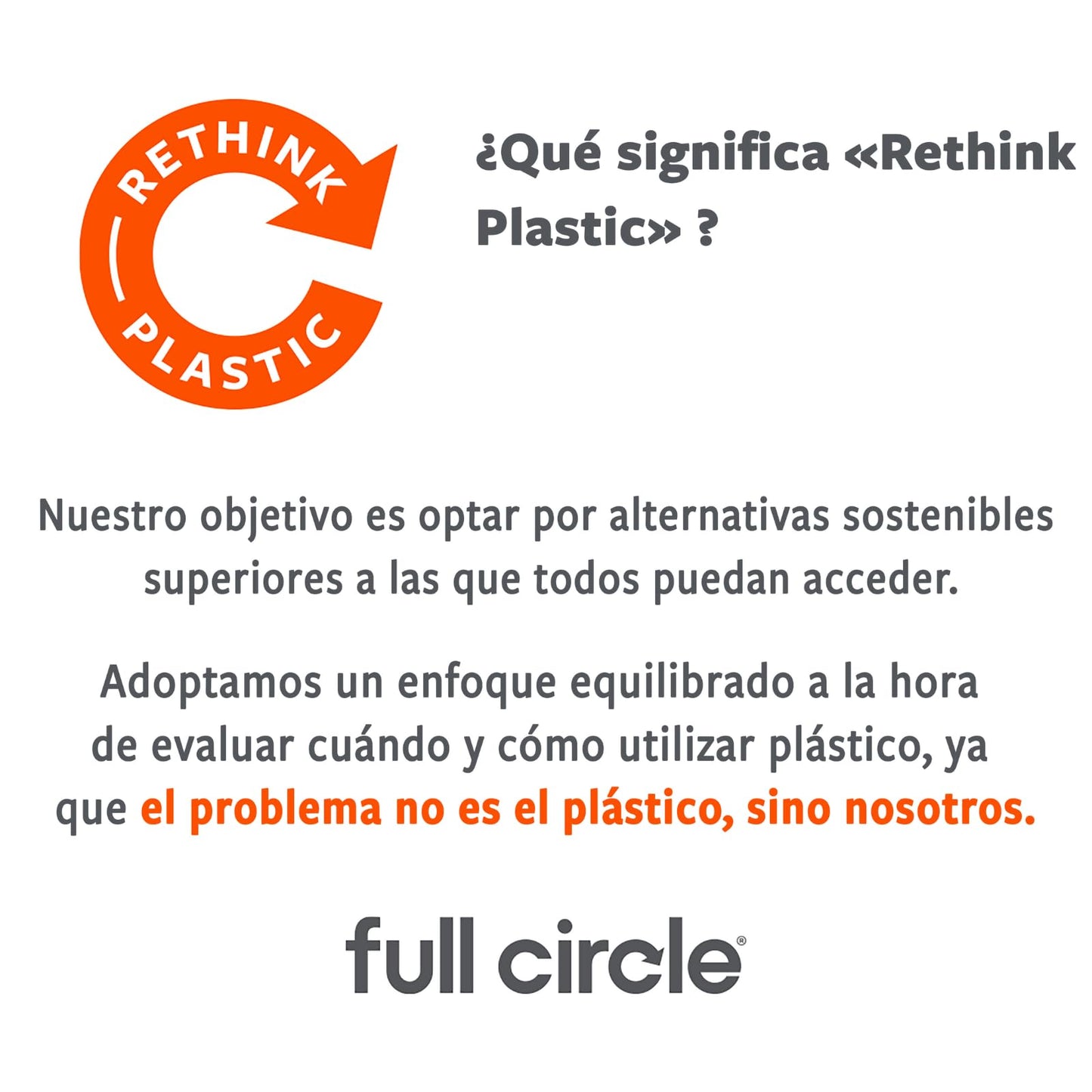 Full Circle Home Cast Iron Scrub Brush for Cookware, Dishes, Pots, Sinks - Sustainably Sourced with Bamboo Handle