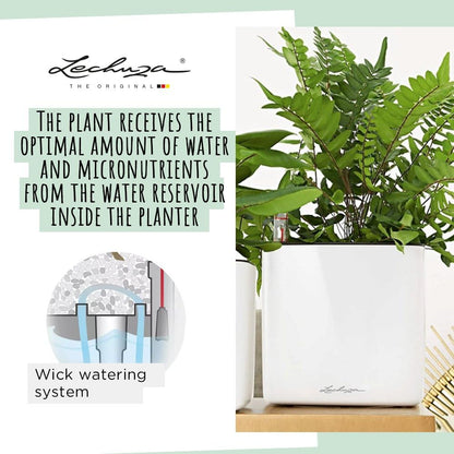Lechuza Glossy Cube 16 Self-Watering Planter with Water Level Indicator, High Gloss Scarlet Red
