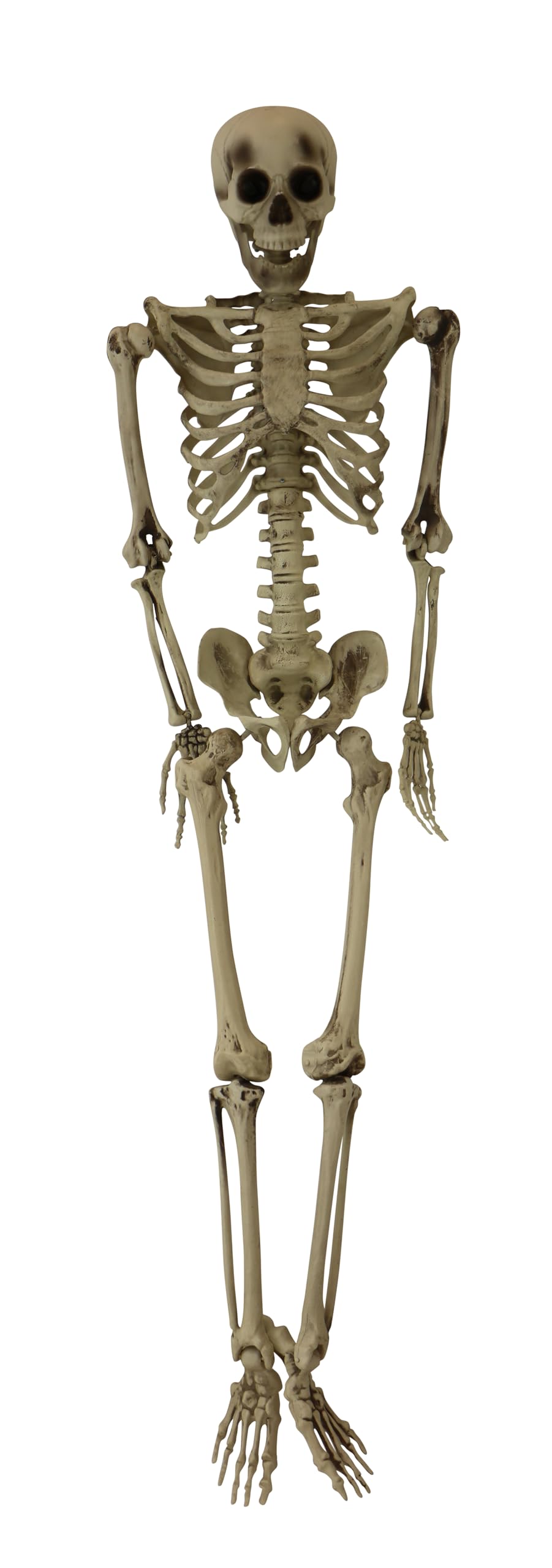 Haunted Hill Farm Life-Size Scary Skeleton Prop, Poseable, Battery-Operated Indoor or Covered Outdoor Halloween Decoration