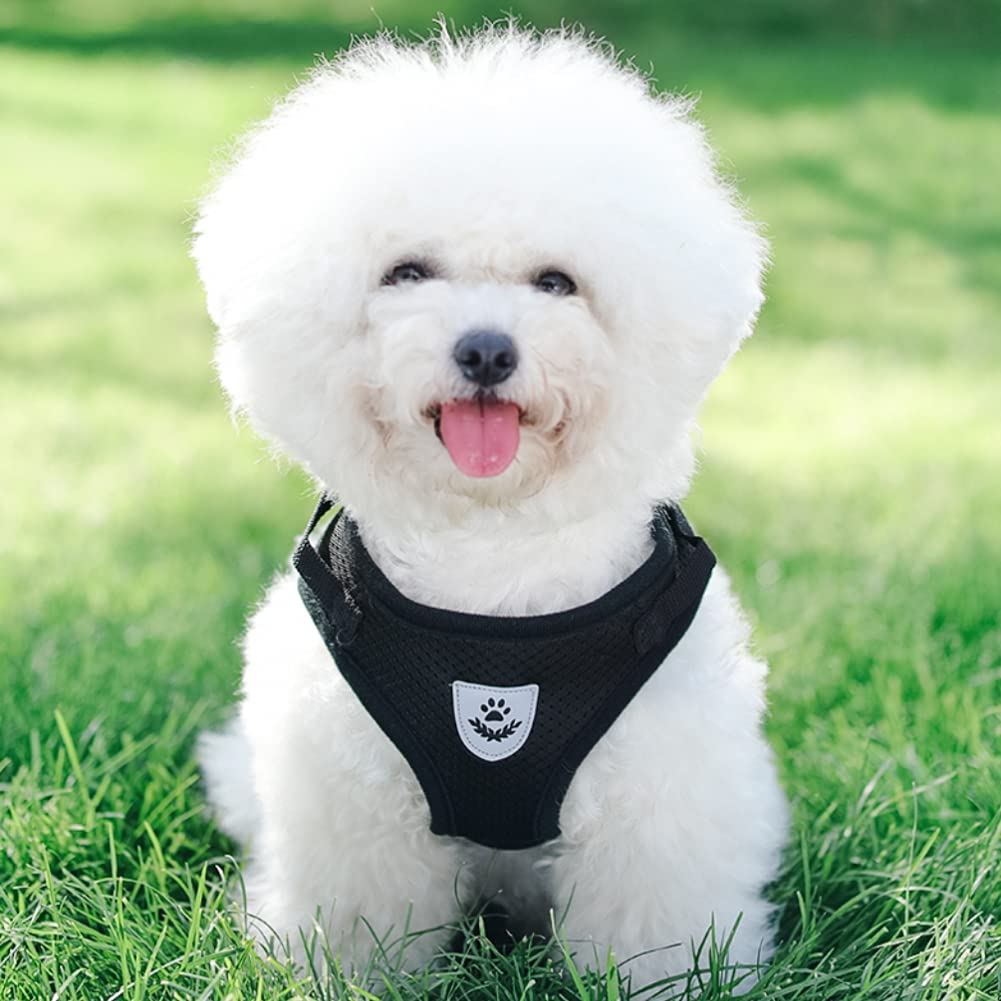 FEimaX Dog Harness and Leash Set for Walking, Soft Mesh Adjustable Easy Control Lightweight Cat Vest Harnesses with Reflective Strips, Escape Proof Small Dogs Cats Vests (Black, X-Small)