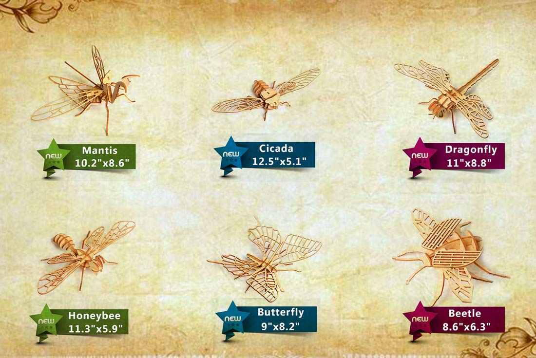 3D Wooden Insect Puzzle - 6 Piece Set Insect Animal Skeleton Assembly Model Puzzle - DIY Wooden Crafts 3D Puzzle - STEM Toys Gifts for Kids and Adults Teens Boys Girls