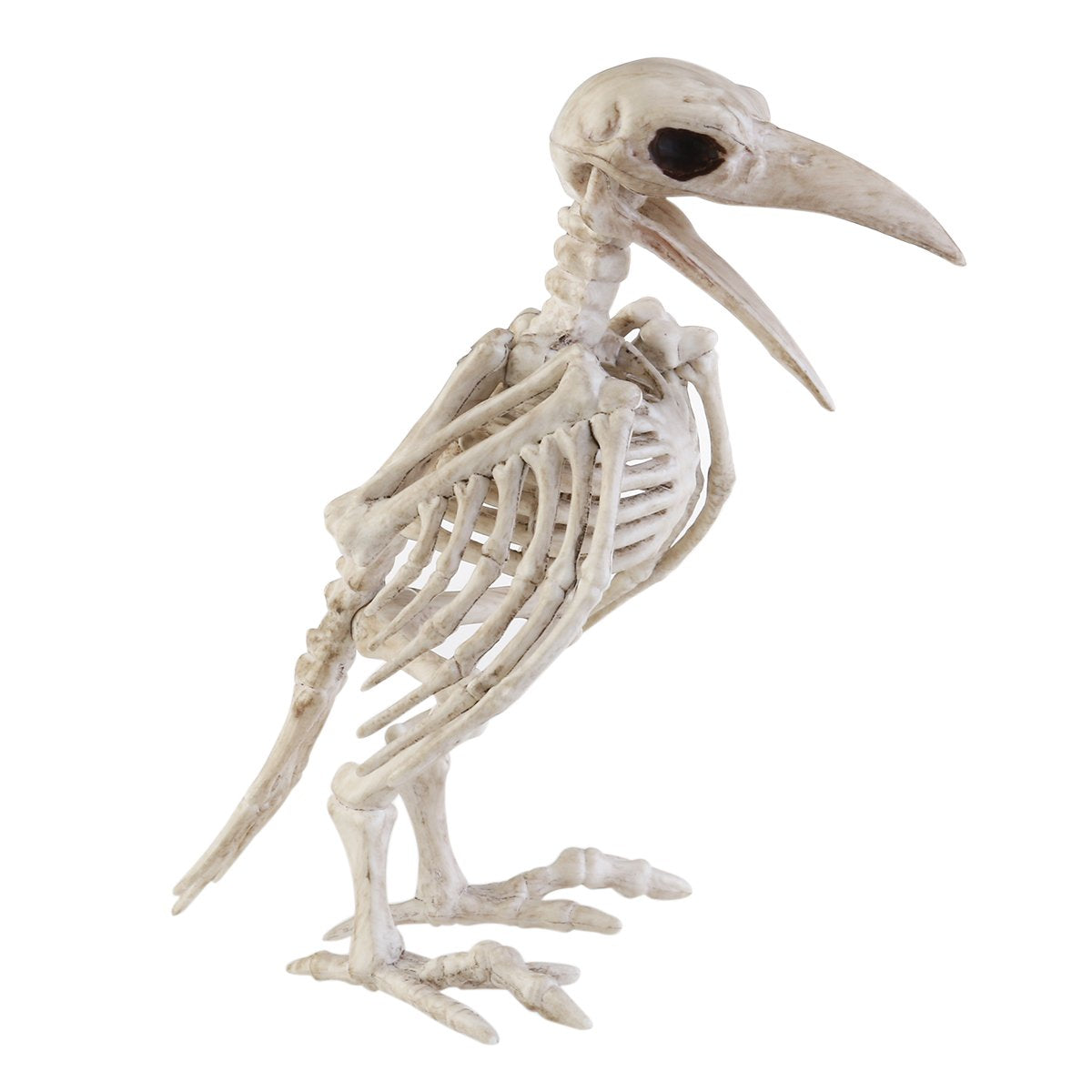 Crazy Bonez Skeleton Raven