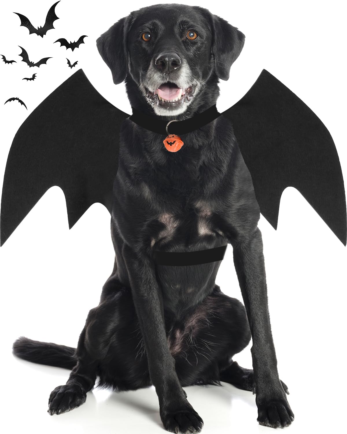 Dog Halloween Costumes for Large Dogs, Dog Bat Wings with Pumpkin Bell Pet Halloween Cosplay Party Dress Up (Large)