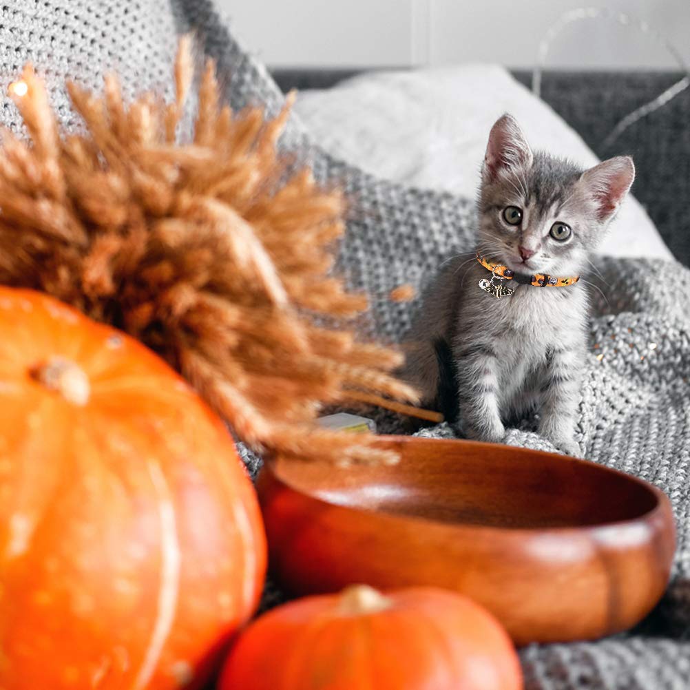 EXPAWLORER Halloween Cat Collar Breakaway - 3 Pack Soft Adjustable Kitten Collars with Bells & Cute Festival Pendants, Holiday Pet Collars for Cats with Safety Buckle