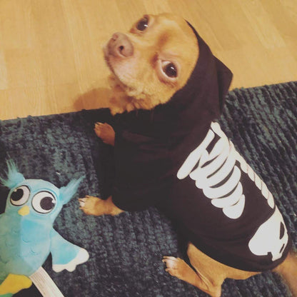 Coomour Halloween Pet Dog Cat Skull Hoodies Glowing Skeleton Bones Costume Outfit for Dogs Cats (L)