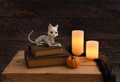 Crazy Bonez Cute Skeleton Cat