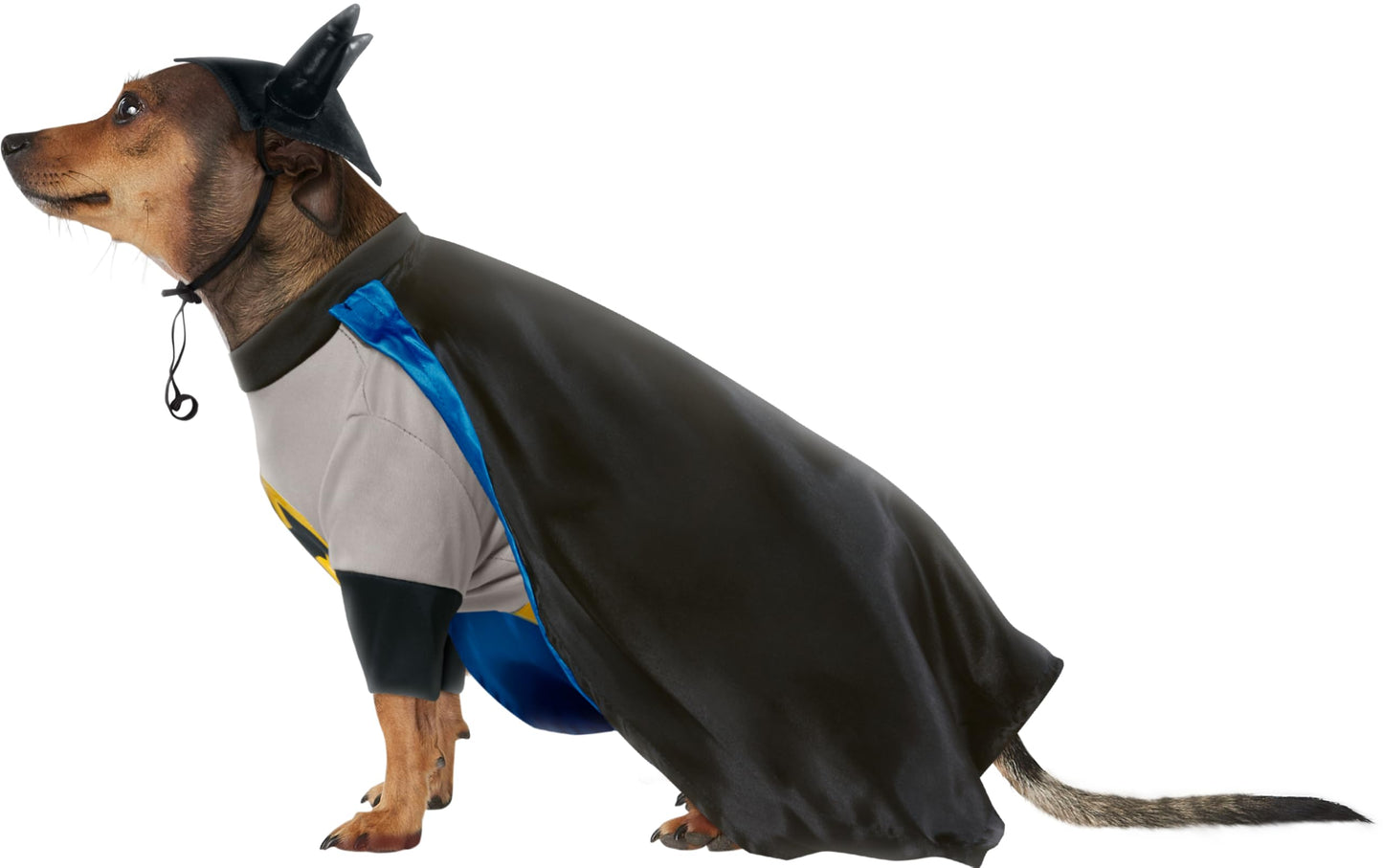 DC Comics Superheroes: Batman Pet Costume for Dogs or Cats by Rubies, XXXL