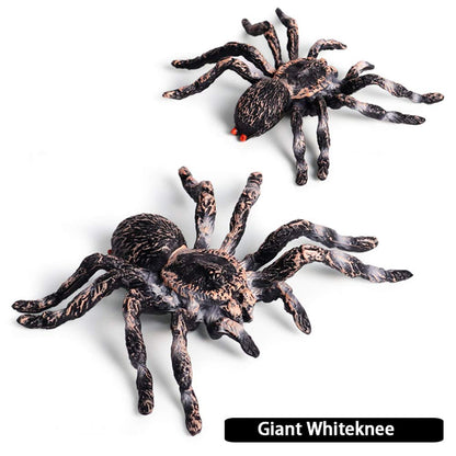 FLORMOON Realistic Animal Figures - Spider Action Model Lifelike Insect Toy Figures - Educational Learning Toys Birthday Set for Boys Girls Kids Toddlers (Giant Whiteknee)