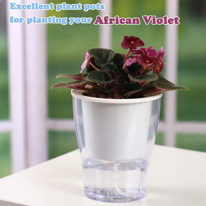 5-Pack 4.3 Inches Clear Self-Watering Planters Small African Violet Pots Plastic Plant Pots Wicking Flower Pots for Indoor Plants, Herbs, African Violet, Ocean Spider Plant, Orchid Pot, Garden Pots