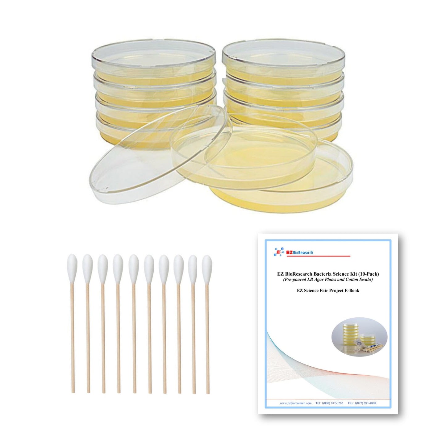 EZ BioResearch Bacteria Science Kit (IV): Top Science Fair Project Kit. Prepoured LB-Agar Plates And Cotton Swabs. Exclusive Free Science Fair Project E-Book Packed With Award Winning Experiments (IV)