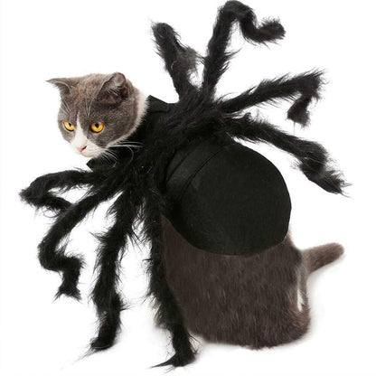 Dog Cat Spider Costume for Halloween Party Decoration, Halloween Cosplay Costumes for Small Dogs and Cat, Puppy Dress Up Accessories