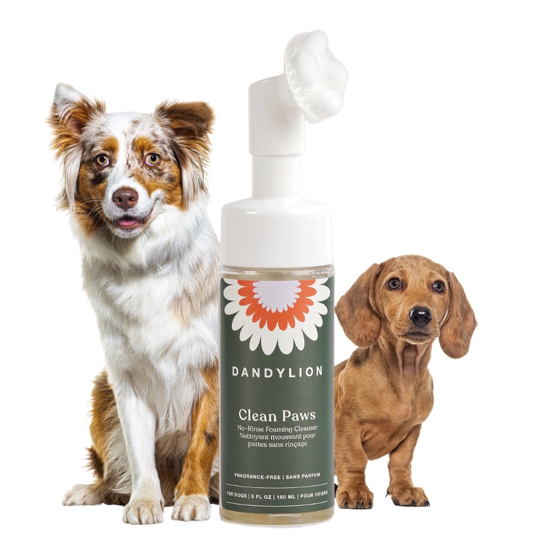 Dandylion Clean Paws | No-Rinse Dog Paw Cleaner & Puppy Paw Washer | Gentle, Fragrance-Free, pH Balanced Foaming Cleanser with Silicone Bristle Brush | Safe for All Dogs | 5 fl oz