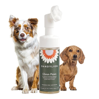 Dandylion Clean Paws | No-Rinse Dog Paw Cleaner & Puppy Paw Washer | Gentle, Fragrance-Free, pH Balanced Foaming Cleanser with Silicone Bristle Brush | Safe for All Dogs | 5 fl oz