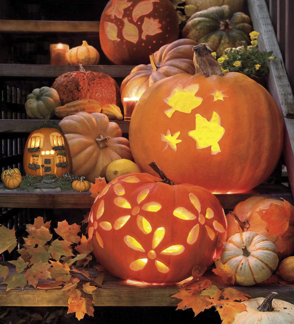 Elmchee Halloween Pumpkin Carving Tools, Halloween Jack-O-Lanterns 13 Piece Professional pumpkin cutting supplies tools Kit stainless steel lengthening and thickening