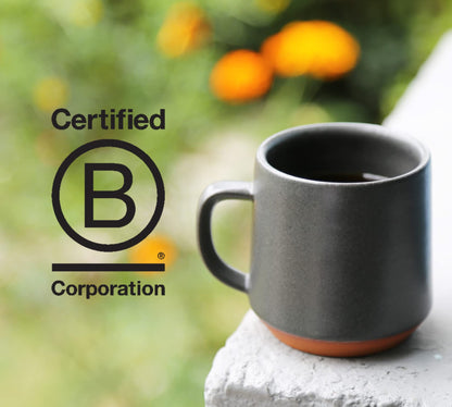 Counter Culture Coffee - Whole Bean Coffee - Freshly Roasted Coffee Beans - Premium Coffee - Multiple Flavors - One 12 Ounce Bag of Each (Hologram)