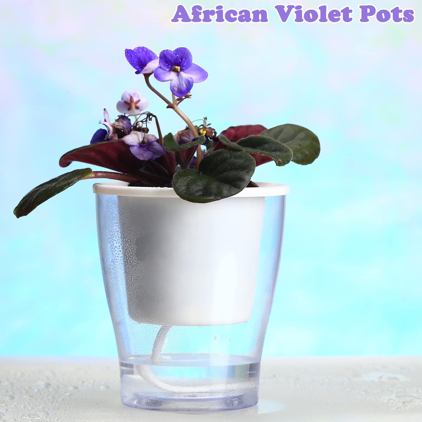 5-Pack 4.3 Inches Clear Self-Watering Planters Small African Violet Pots Plastic Plant Pots Wicking Flower Pots for Indoor Plants, Herbs, African Violet, Ocean Spider Plant, Orchid Pot, Garden Pots