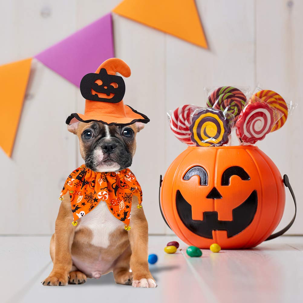 EXPAWLORER Dog Halloween Costumes - Halloween Style Dog Collar with Bells and Wizard's Hat Set,Halloween Pumpkin Pattern Pet Costume for Dogs Wearing - Orange