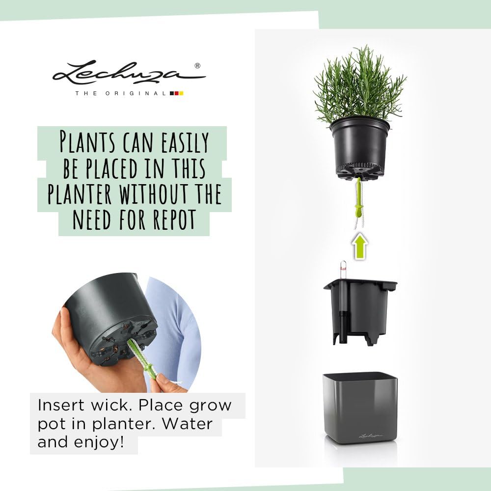 Lechuza Glossy Cube 16 Self-Watering Planter with Water Level Indicator, High Gloss Scarlet Red