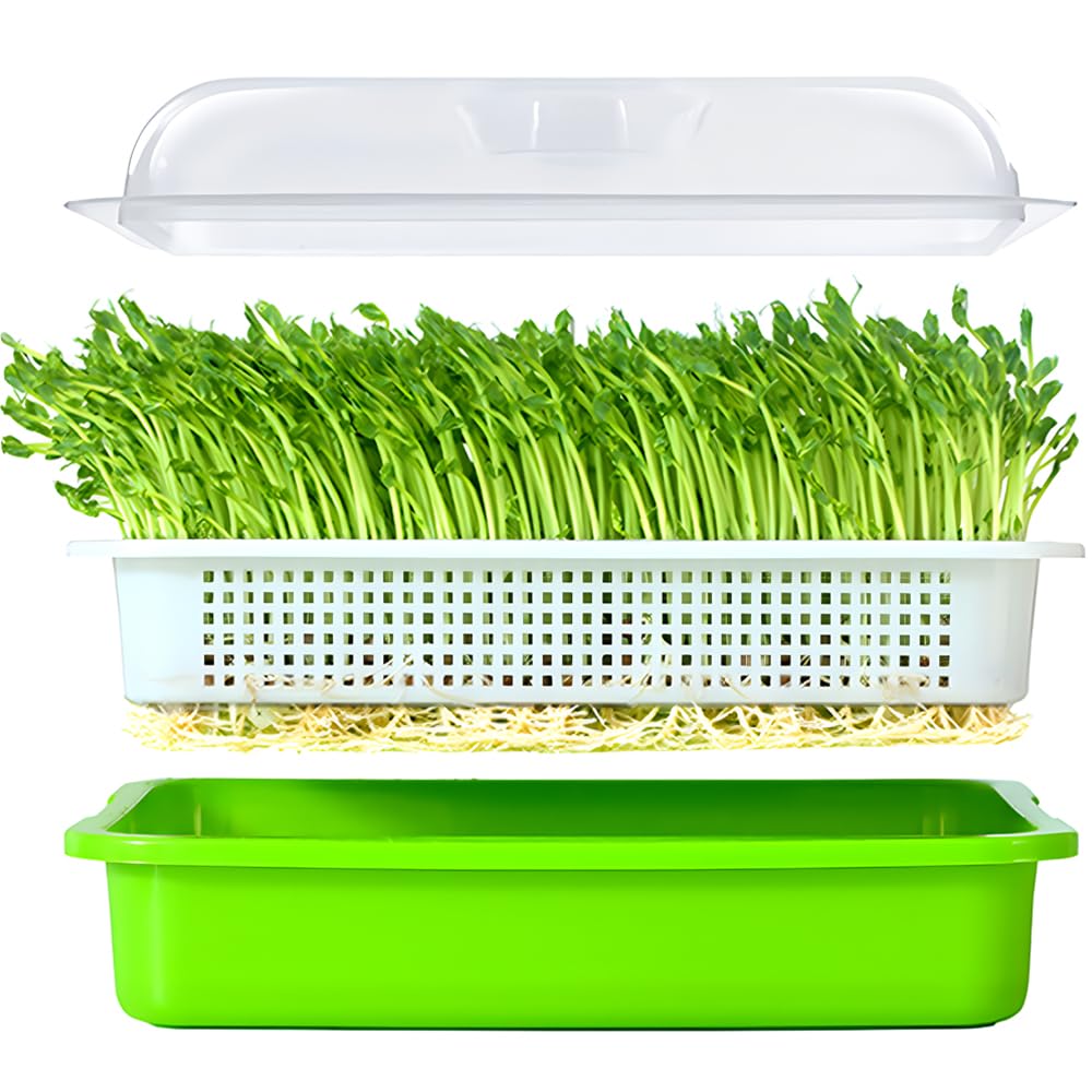 LeJoy Garden Seed Sprouter Tray BPA Free PP Soil-Free Big Capacity Healthy Wheatgrass Grower with Lid Sprouting Kit 13.4x9.84x4.72 inches