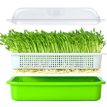LeJoy Garden Seed Sprouter Tray BPA Free PP Soil-Free Big Capacity Healthy Wheatgrass Grower with Lid Sprouting Kit 13.4x9.84x4.72 inches