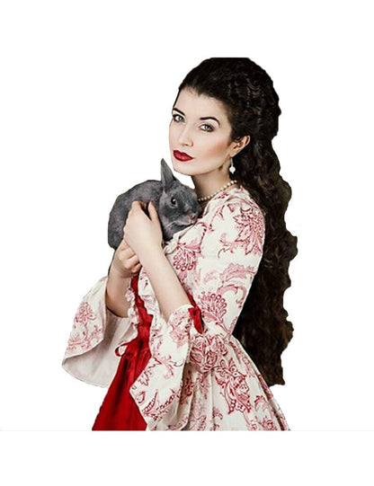 1791's lady Women's Victorian Rococo Dress Temperament Palace Evening Dress Inspiration Maiden Horn Sleeve Costume NQ0032W (Female S) Red