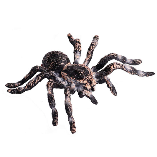 FLORMOON Realistic Animal Figures - Spider Action Model Lifelike Insect Toy Figures - Educational Learning Toys Birthday Set for Boys Girls Kids Toddlers (Giant Whiteknee)