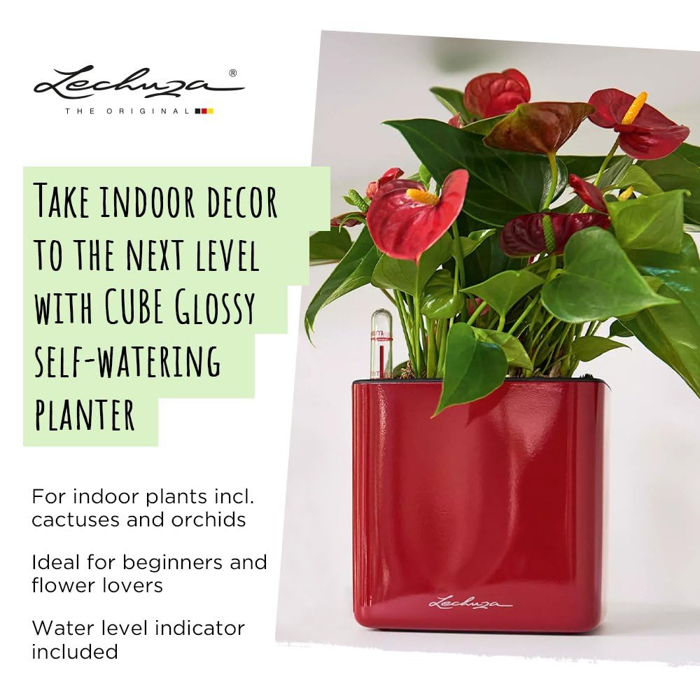 Lechuza Glossy Cube 16 Self-Watering Planter with Water Level Indicator, High Gloss Scarlet Red