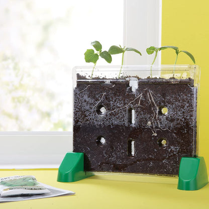 Educational Insights Sprout & Grow Window - See-Through Sprouts Growing Kit, Kids Gardening Set, Starter Science Kits for Kids, Root Viewer, Interactive Homeschool or Classroom Planter, Ages 5+