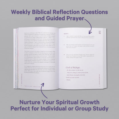 A Beautiful Year in the Bible: The 52-Week Bible Study for Women (SC)