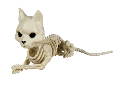 Crazy Bonez Cute Skeleton Cat