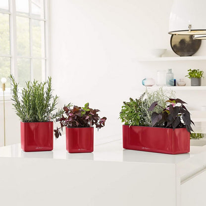 Lechuza Glossy Cube 16 Self-Watering Planter with Water Level Indicator, High Gloss Scarlet Red