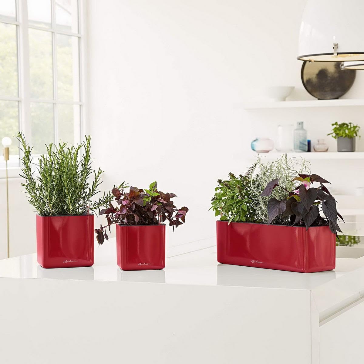 Lechuza Glossy Cube 16 Self-Watering Planter with Water Level Indicator, High Gloss Scarlet Red