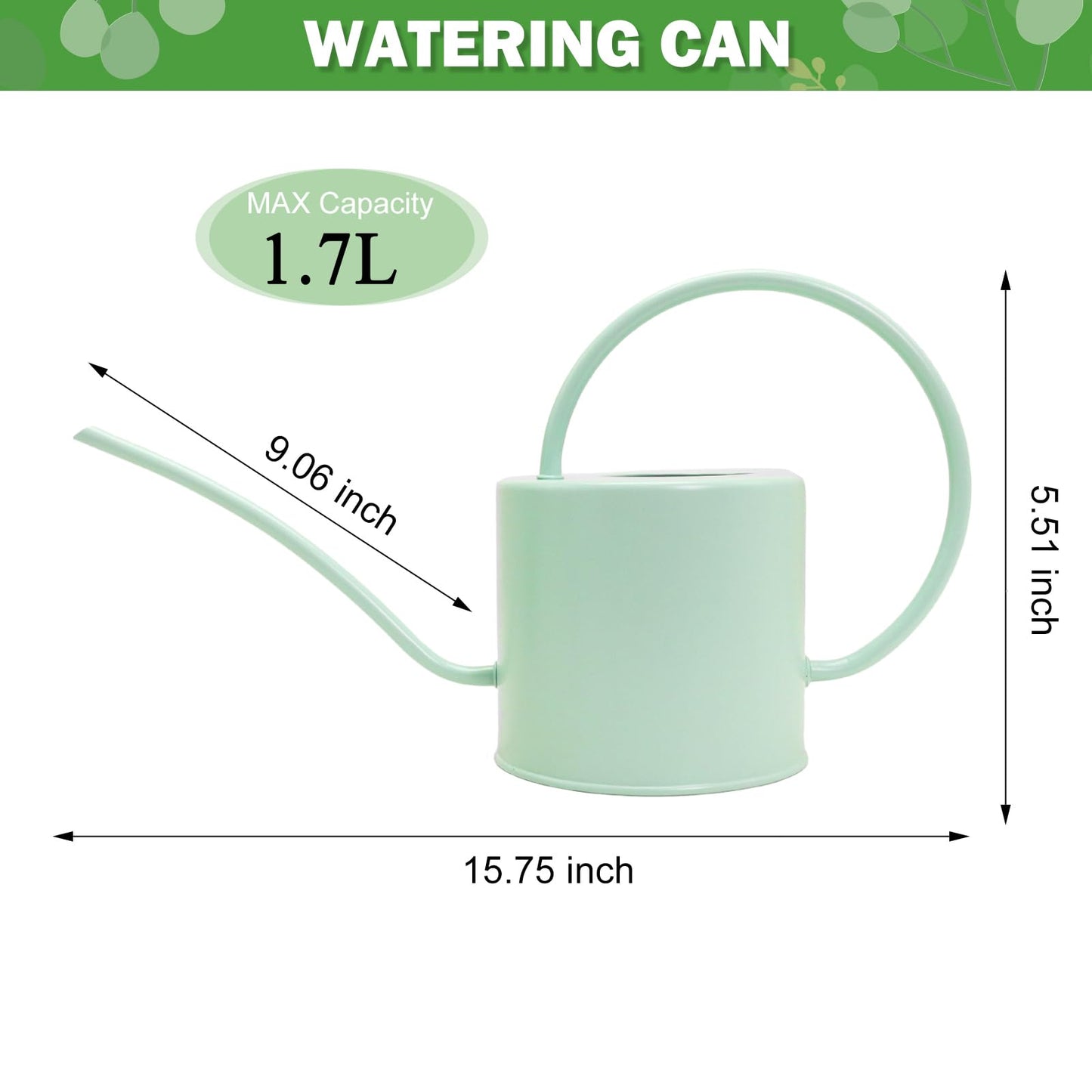 Lechloris Indoor Watering Can for Houseplants-Long Spout Metal Watering Can for Indoor Plants, Succulents or Outdoor Garden Flower, 1.3L / 40 oz Mint