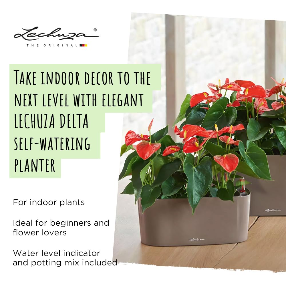 Lechuza Delta 10 Self Watering Plant Pot, White High Gloss, 30 cm