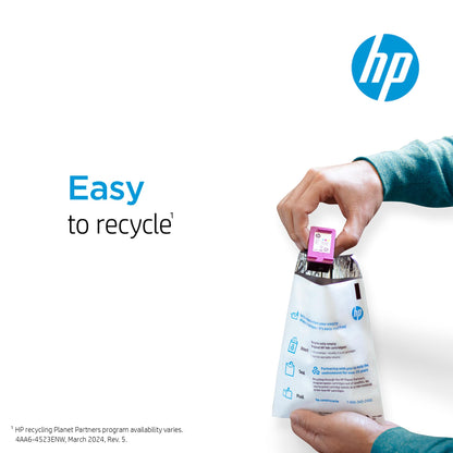 HP 64 Black Ink Cartridge for HP Printers | Works with Printer Series: ENVY Inspire 7950e; ENVY Photo 6200, 7100, 7800; Tango | Eligible for Instant Ink | N9J90AN