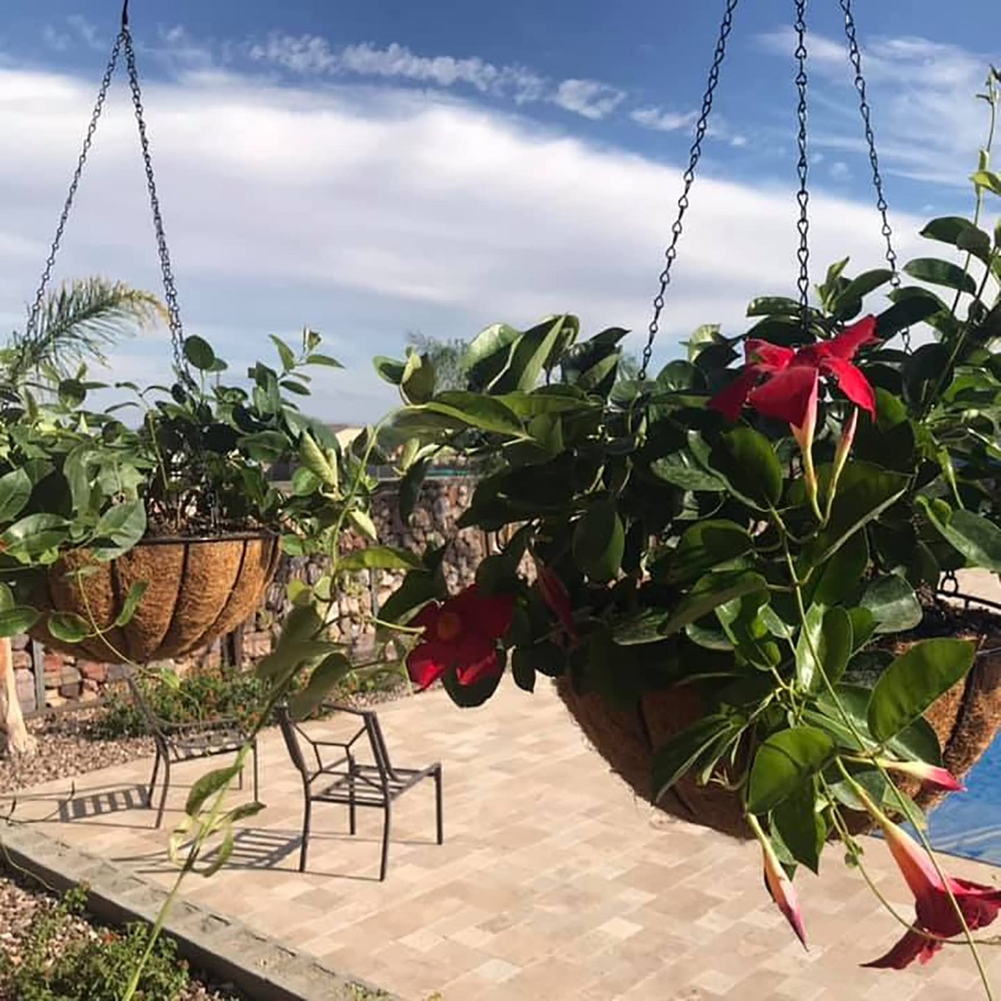 JFFLYIT Metal 10 inch Round Planter, 4 Pack Hanging Wire Basket with Coco Fiber Liners, for Outdoor Plants Decoration