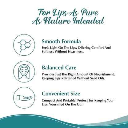 Dr. Dave's Primal Essence Moisturizing Tallow Lip Balm - Grass-Fed Beef Tallow with Organic Coconut Oil, Beeswax and Vitamin E - Sweet Orange, 3-Pack