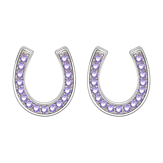 EVER FAITH 925 Sterling Silver Elegant Pave Setting Purple Cubic Zirconia Birthstone Lucky Horseshoe Stud Earrings