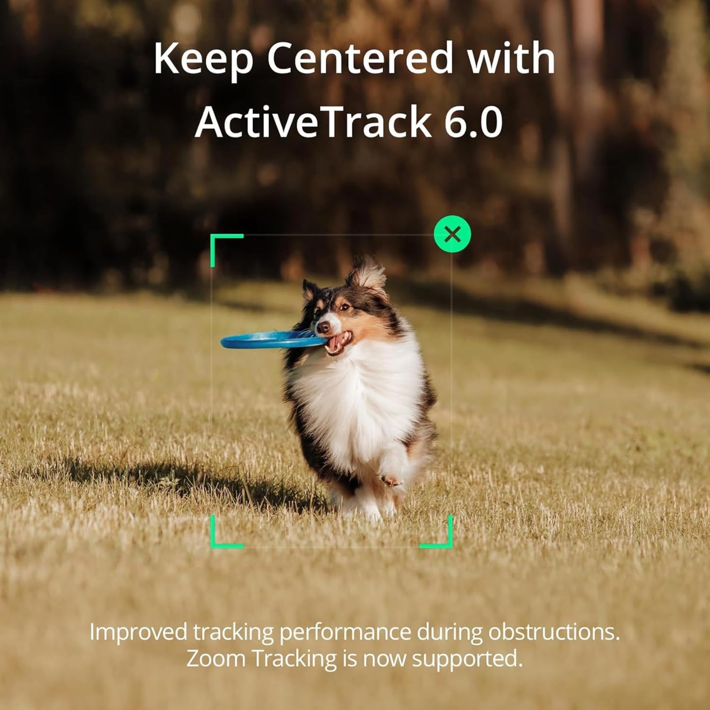 DJI Osmo Mobile SE, 3-Axis Phone Gimbal for iPhone, Android, Built-in Tripod, Selfie Stick, Gimbal Stabilizer for iphone, Andriod, ActiveTrack 6.0, Vlogging Stabilizer for Youtube, TikTok, Travel