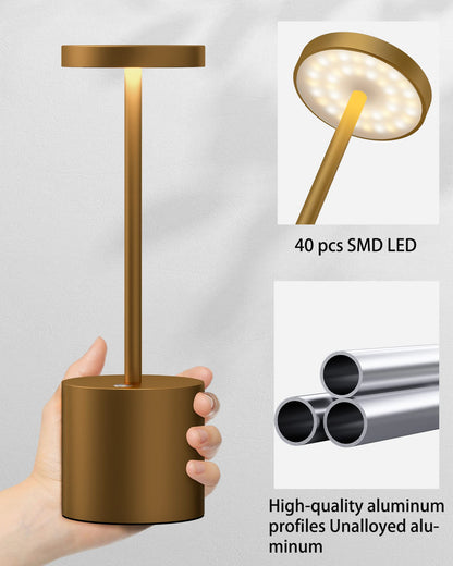 YIBEN 2Pack Cordless Table Lamp, Rechargeable LED Battery 5000mAh Metal USB Portable Powered Desk Lamp, 3 Levels Brightness Light for Restaurants Outdoor (2pack 10.25in Titanium)