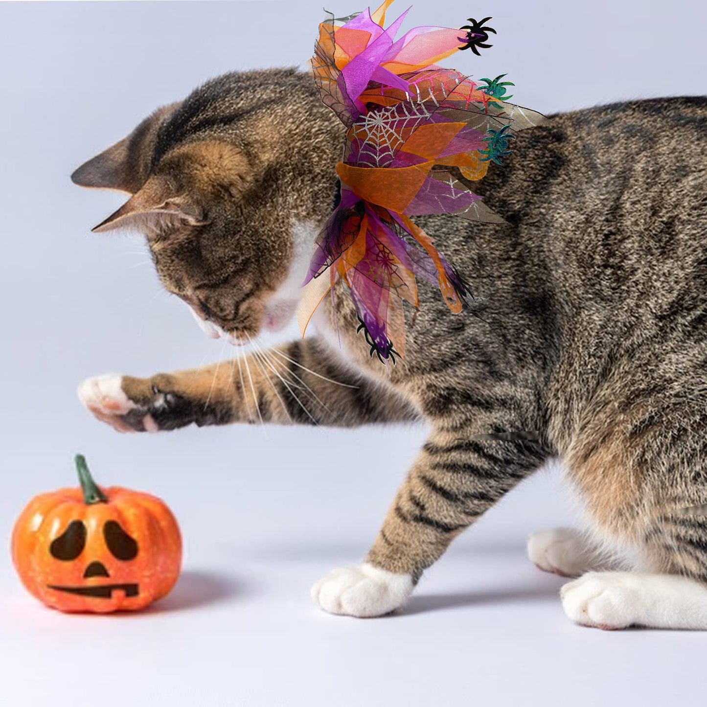 cyeollo 2 Pack Halloween Dog Collar Elastic Fancy Holiday Accessory for Dogs and Cats Pet Costume for Halloween Party