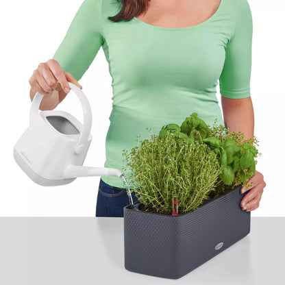 Lechuza Cube Color Triple Self Watering Plant Pot, Slate, 40 cm Diameterx 14 cm Width x 13.5 cm Height