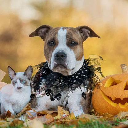 cyeollo 2 Pack Halloween Dog Collar Elastic Fancy Holiday Accessory for Dogs and Cats Pet Costume for Halloween Party