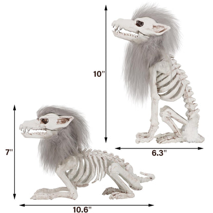 DR.DUDU 2 Pack Halloween Skeleton Wolf Decorations, Life Size Animals Skeletons Poseable Halloween Decor Plastic Bones with Hair Wolf Skull Figurines for Table Yard Lawn Party Props Décor